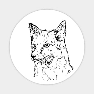 Fox illustration Magnet